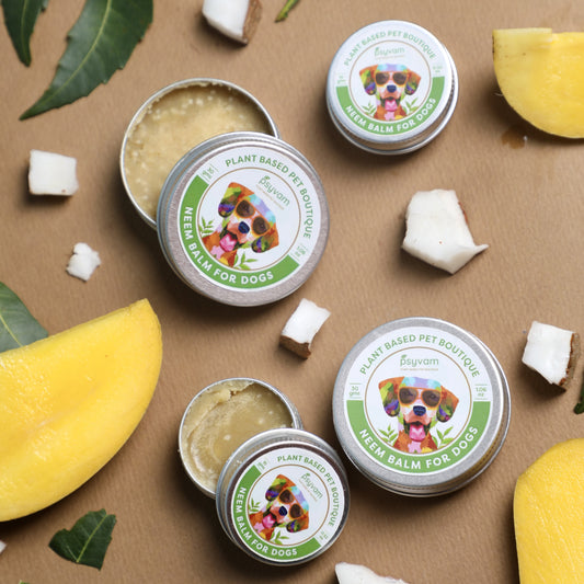 Neem Power: Enhancing Your Dog's Health with Psyvamโs Neem Shampoo, Balm, and Tick Powder