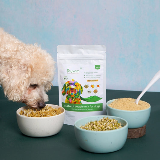 Adding Sprouts to Your Dog’s Diet: Boosting Health with Veggie Mix and Toppings