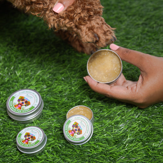 Dog Care Essentials: Revitalize with Mist, Pamper with Perfume Oil, Soothe with Neem Balm