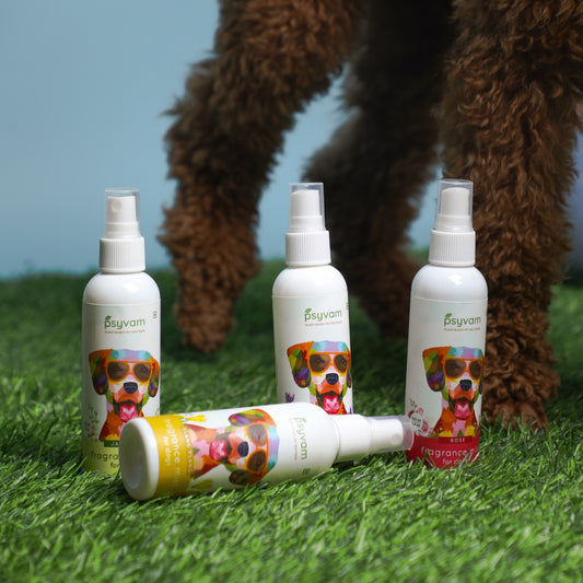 Why Your Dog Smells the Way They Do: The Impact of Essential Oil Mists and Perfume Oils