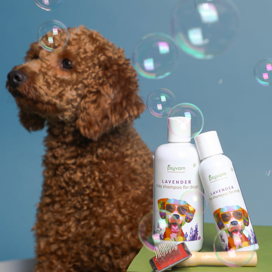 Top Organic Dog Shampoos for a Chemical-Free Clean Bath