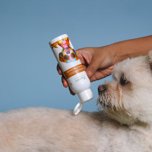 The Science Behind Flea and Tick Powders: How They Keep Your Dog Safe?