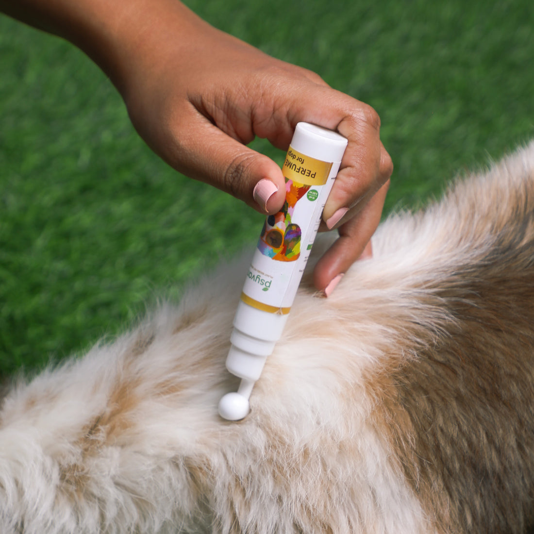 ⁠Dog perfume is in the trend- Here’s why