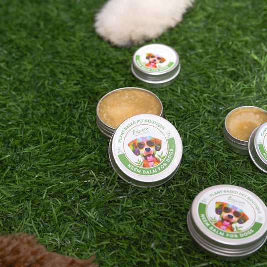 Natural vs. Commercial Dog Balms: Why Neem is a Game-Changer for Your Doggo’s Skin?