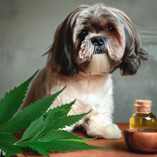 10 Benefits of Neem Oil for Dogs' Coats