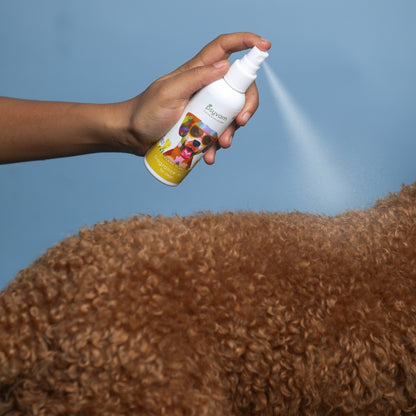 Image of Psyvam Fragrance Mist for Dogs Jasmine Usage