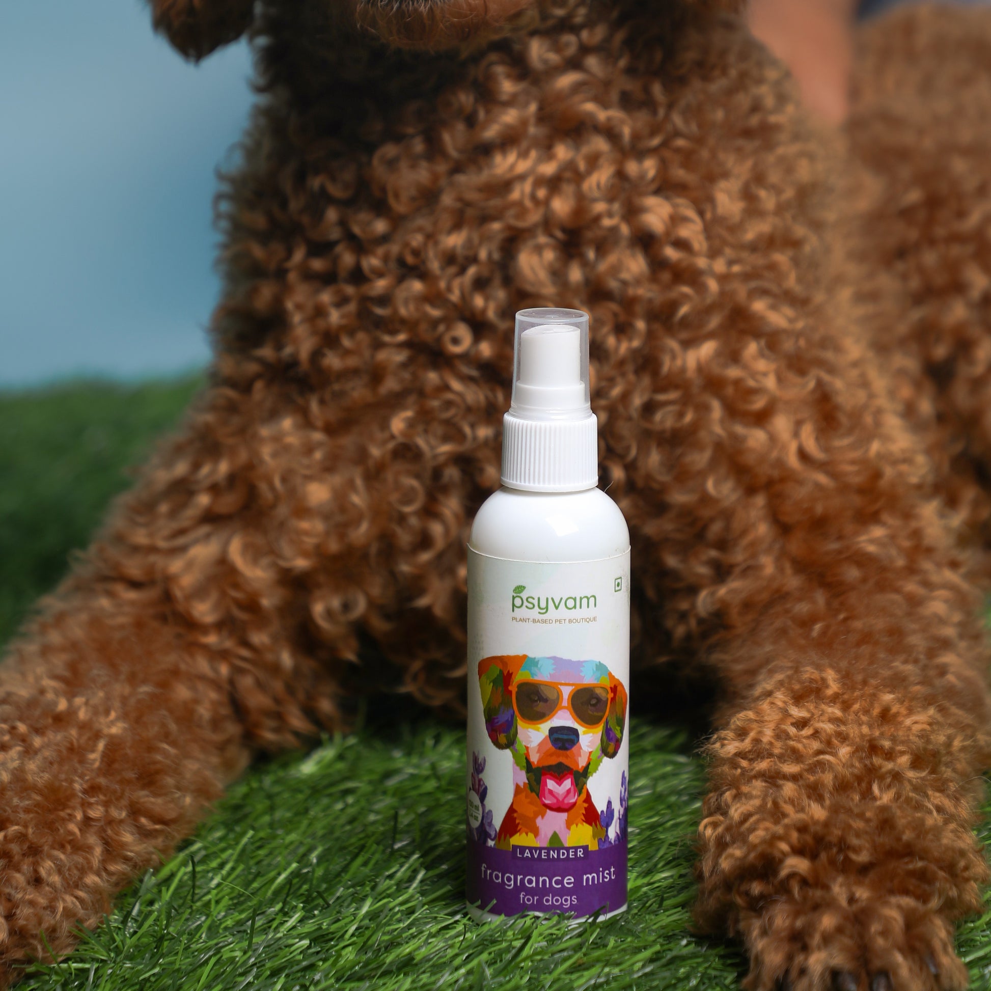 Image of Psyvam Fragrance Mist for Dogs Lavender Lifestyle