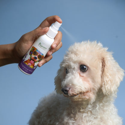 Lavender Fragrance Mist for Dogs - Unlock relaxation