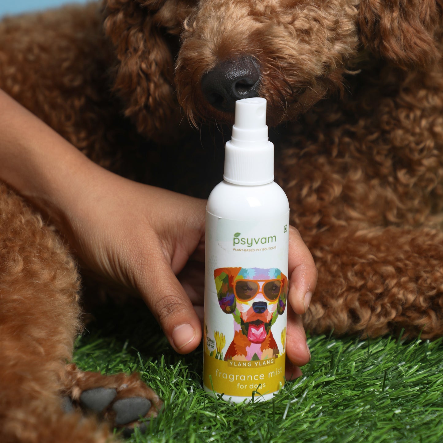 Image of Psyvam Fragrance Mist for Dogs Ylang Ylang Lifestyle